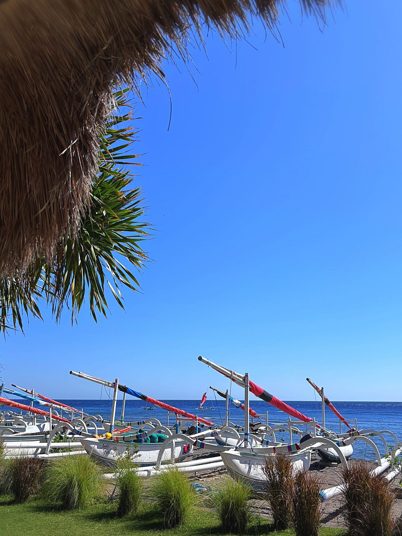 巴厘岛艾湄海滩棕榈花园及Spa度假酒店-旅行者