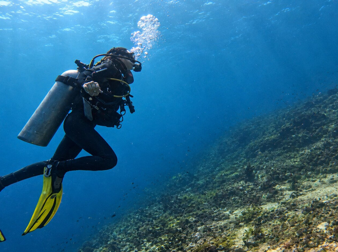 Blow Bubbles Divers-Desa Sekotong Barat必去景点