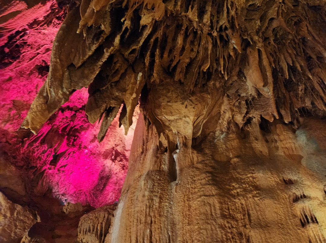 Grutas de Mira de Aire-Mira de Aire必去景点
