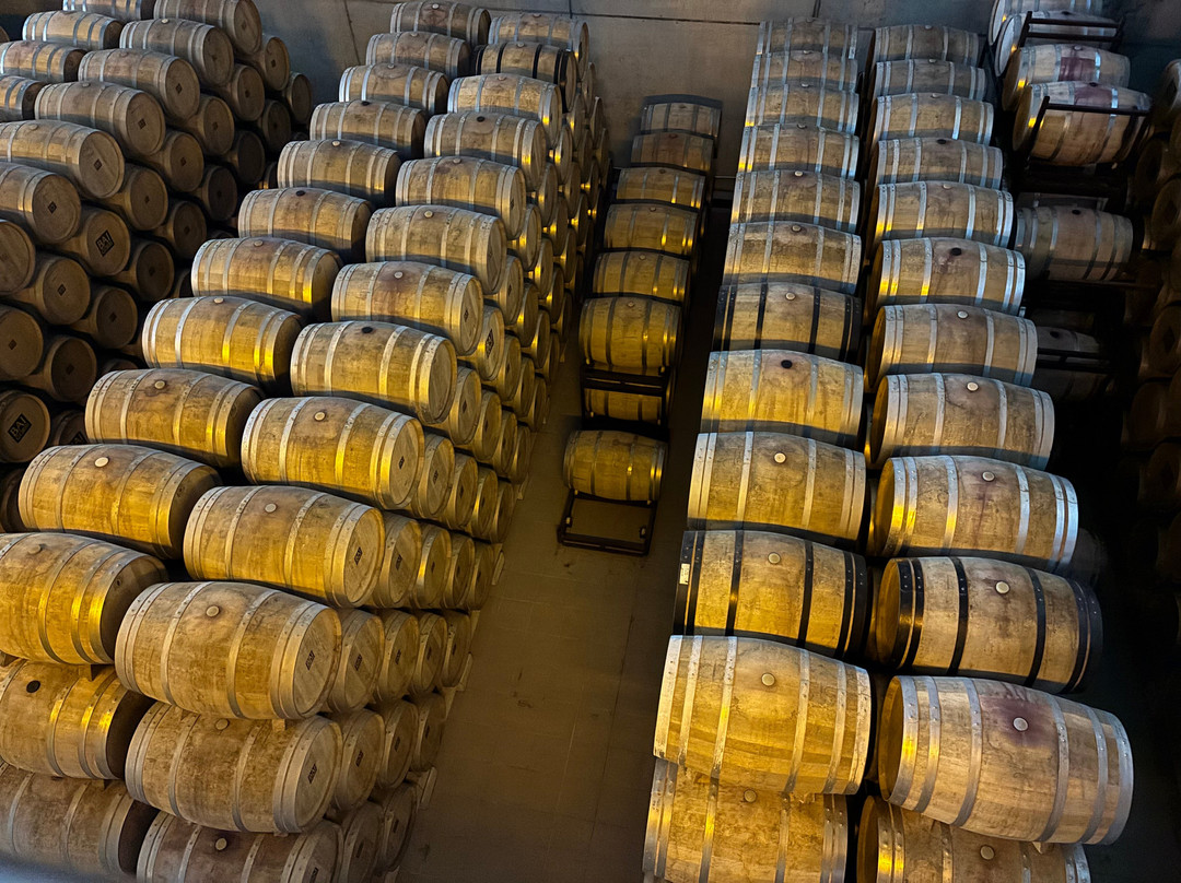 Bodegas Baigorri-Samaniego必去景点