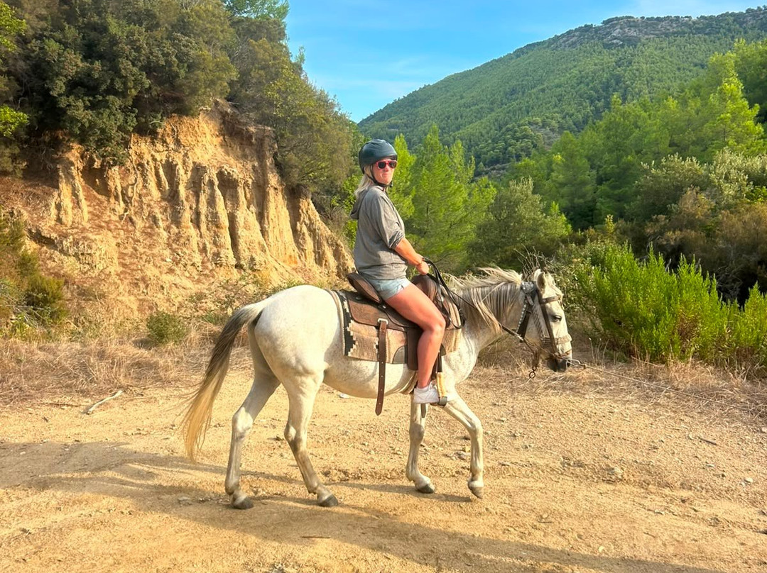 Skiathos Riding Centre-斯亚索斯必去景点