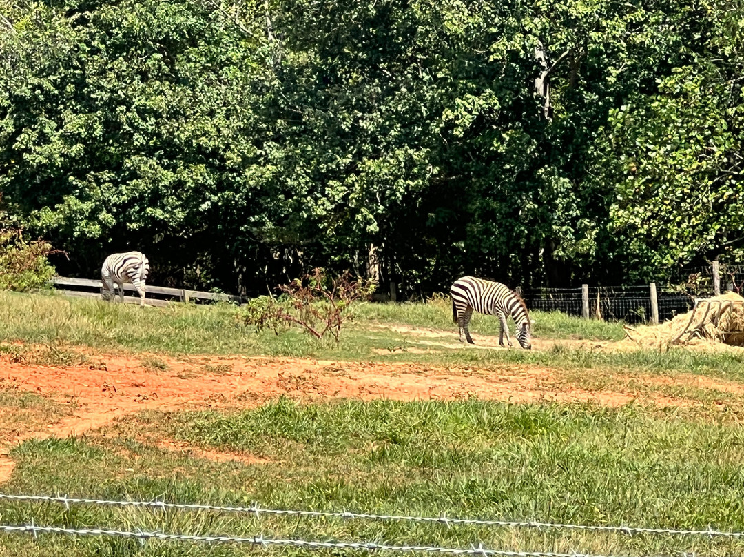 Chestatee Wildlife Preserve & Zoo-达洛尼加必去景点
