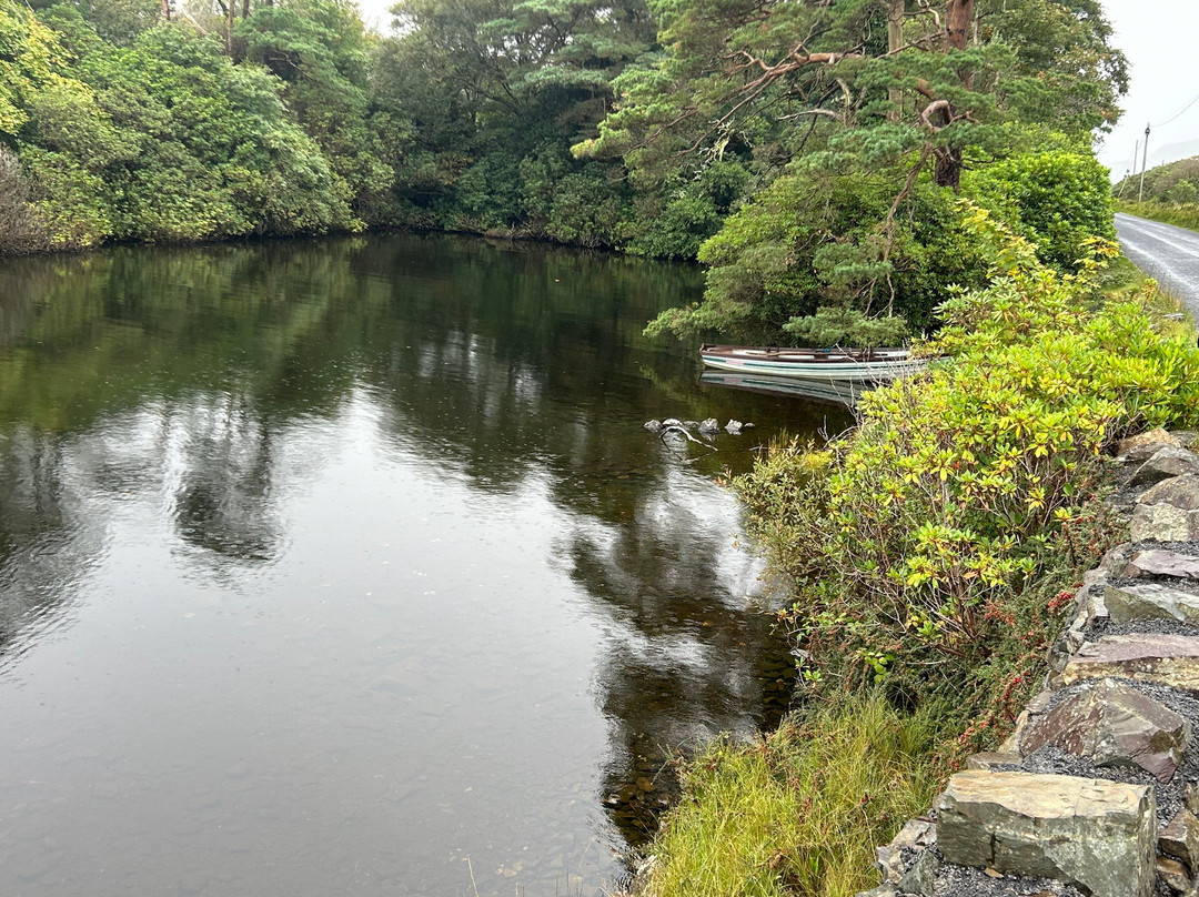 Connemara Adventure Tours-Leenane必去景点