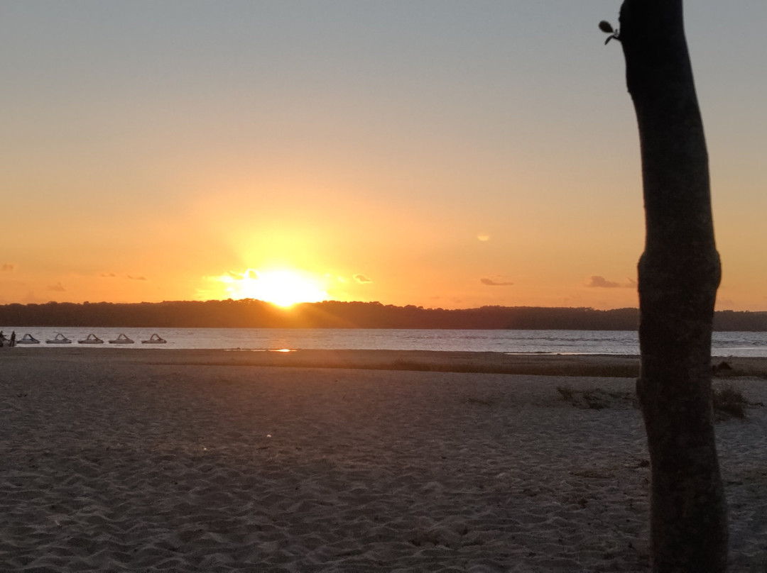Camping La Pinède