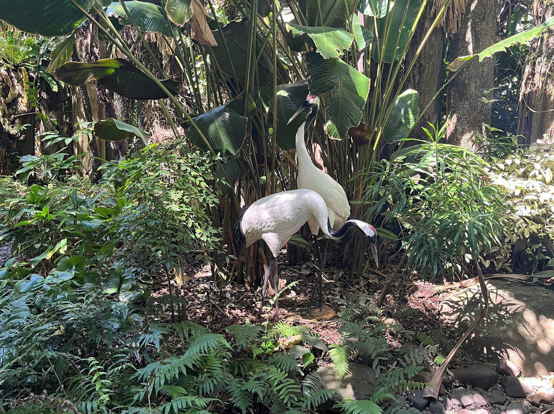 Mackay Regional Botanic Gardens-Mackay必去景点