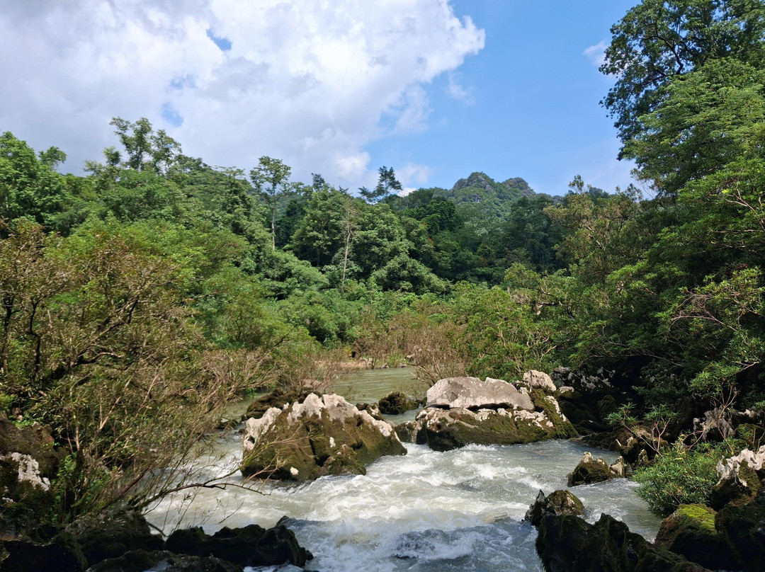 Jungle Boss Tours-峰牙－己榜国家公园必去景点