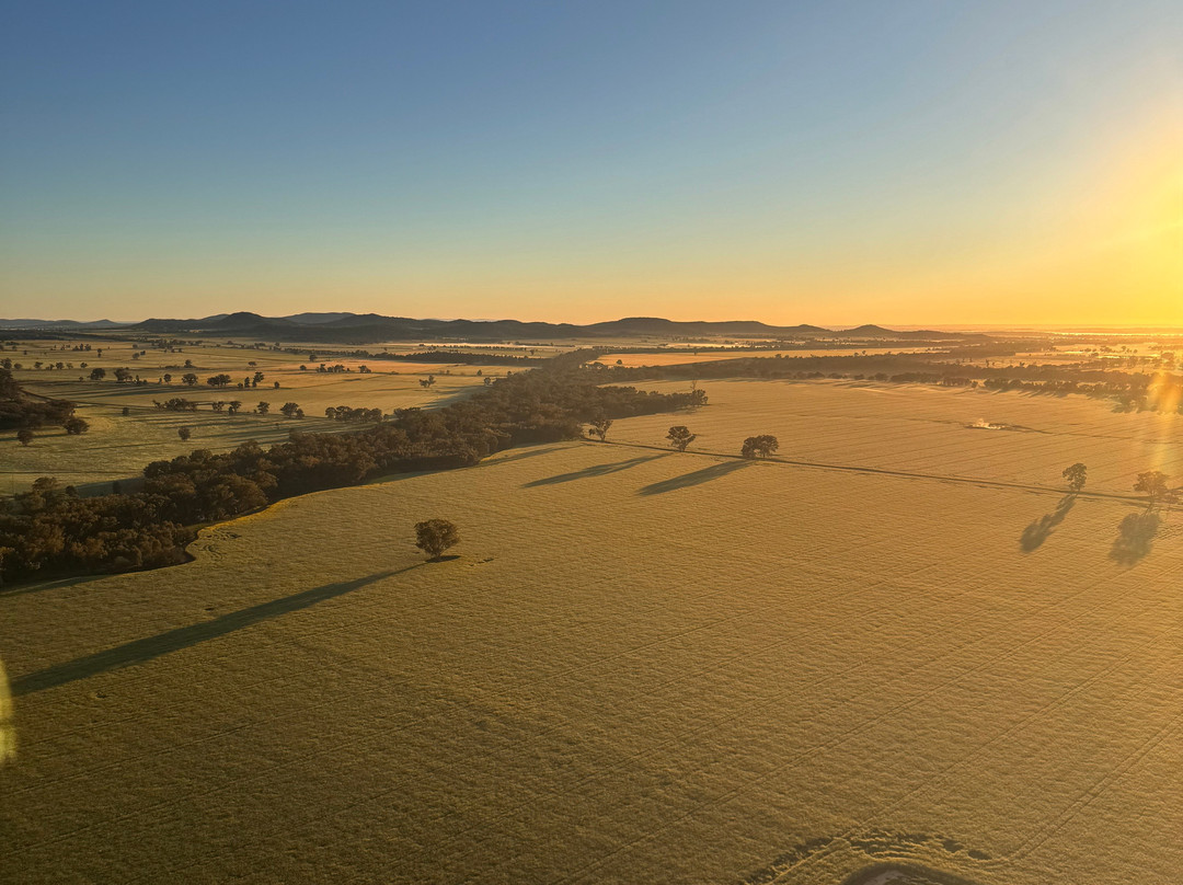 Goldrush Ballooning King Valley-King Valley必去景点