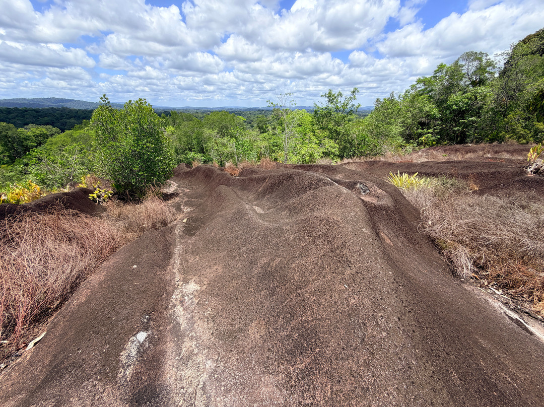 Inselberg Savane Roche Virginie
