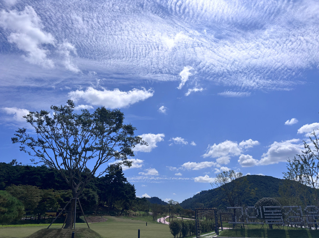高敞、和顺、江华的史前遗址 -高敞郡必去景点