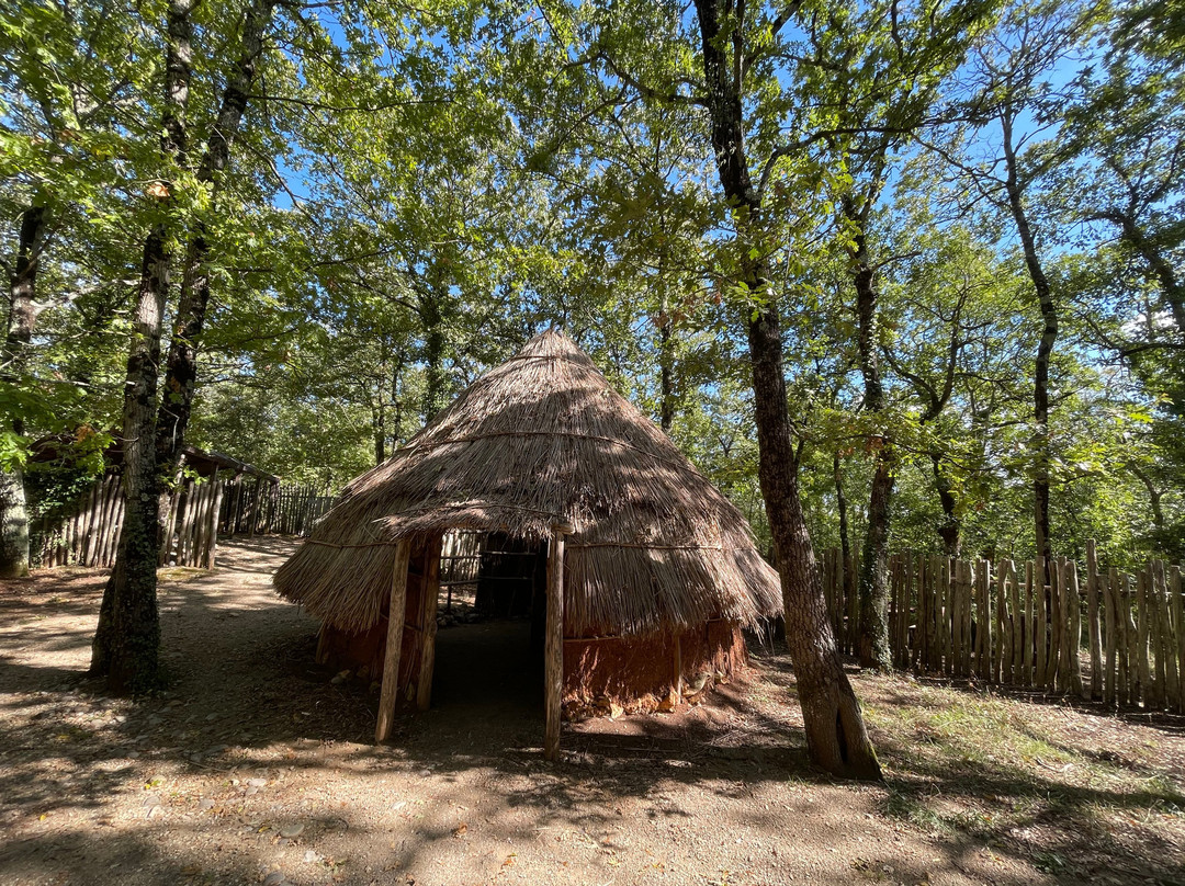 Parco Archeologico Naturalistico e Archeodromo di Belverde-Cetona必去景点