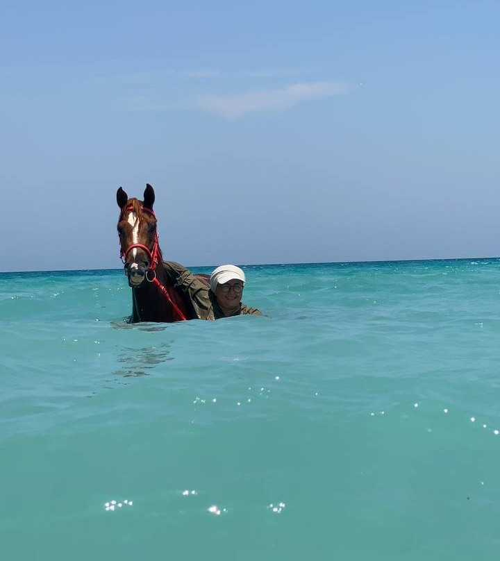 Horse Safari Hurghada-赫尔格达必去景点