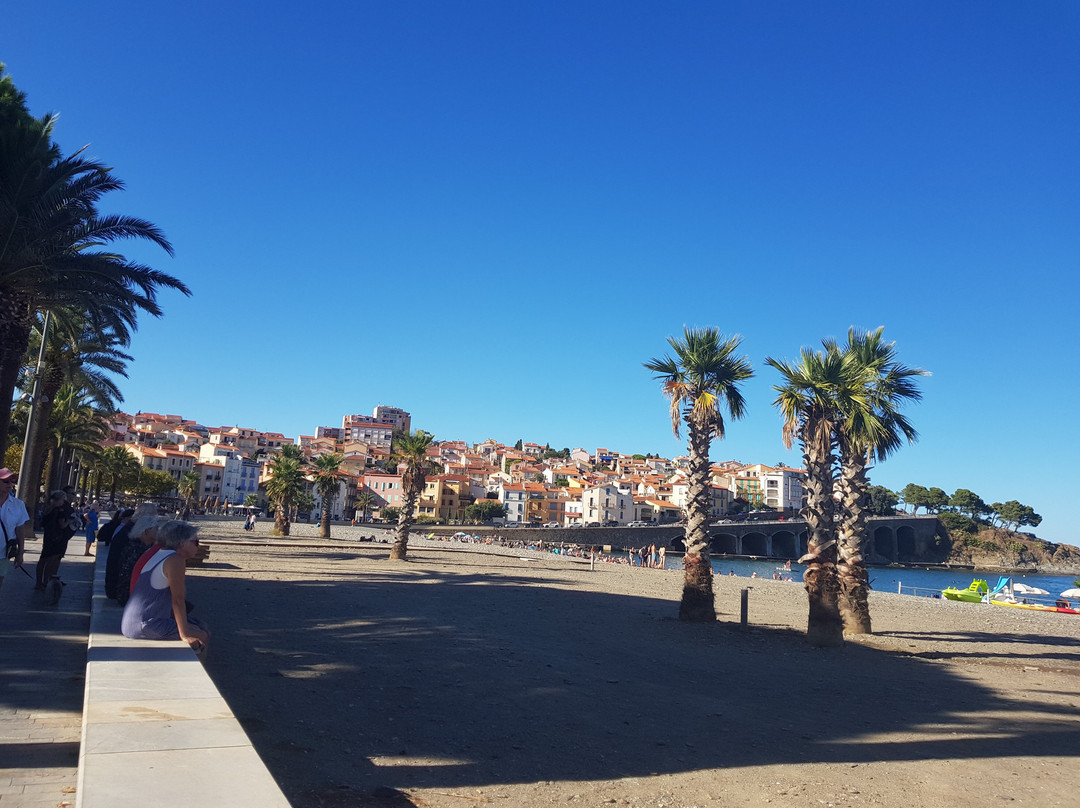 St-Cyprien Plage-Saint-Cyprien必去景点