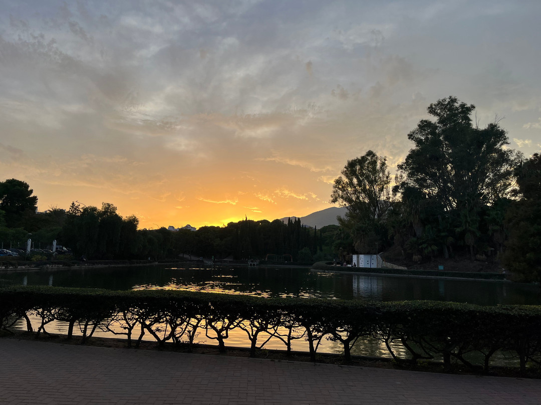 鸽子公园-班纳玛德纳必去景点