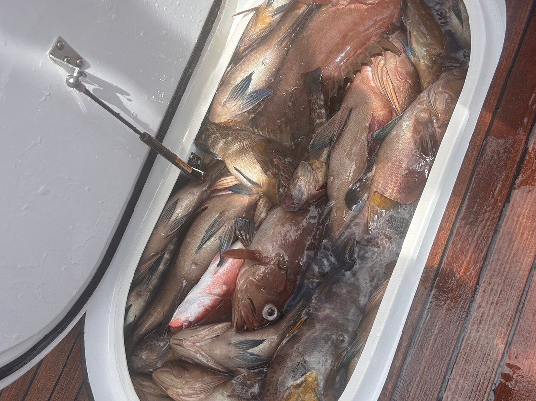 Maverick Sportfishing Charters-梦城必去景点