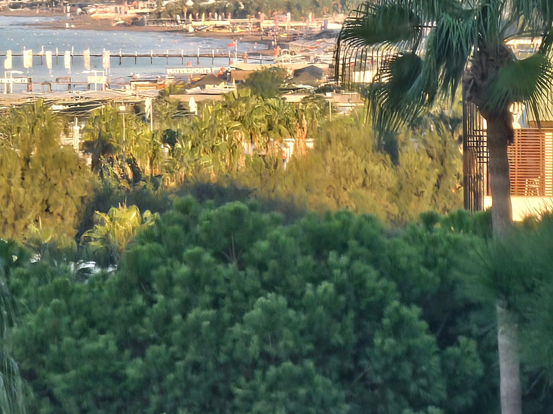 凯撒斯塞德主图