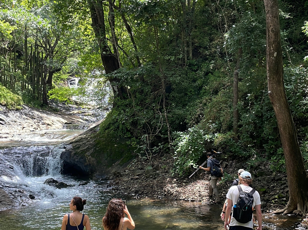 Oropopo Experience-Playa Avellanas必去景点
