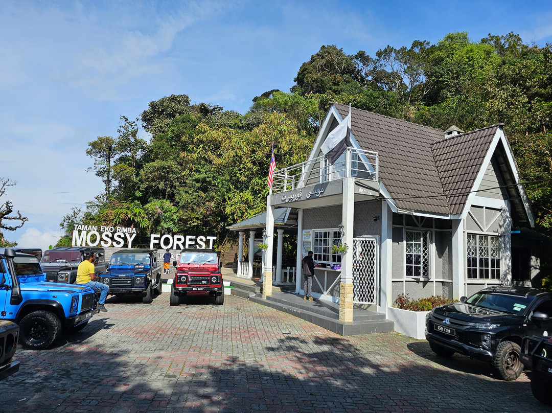 Mossy Forest Eco Park-碧兰璋必去景点
