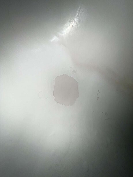 斯普林希尔贝斯特韦斯特套房酒店主图