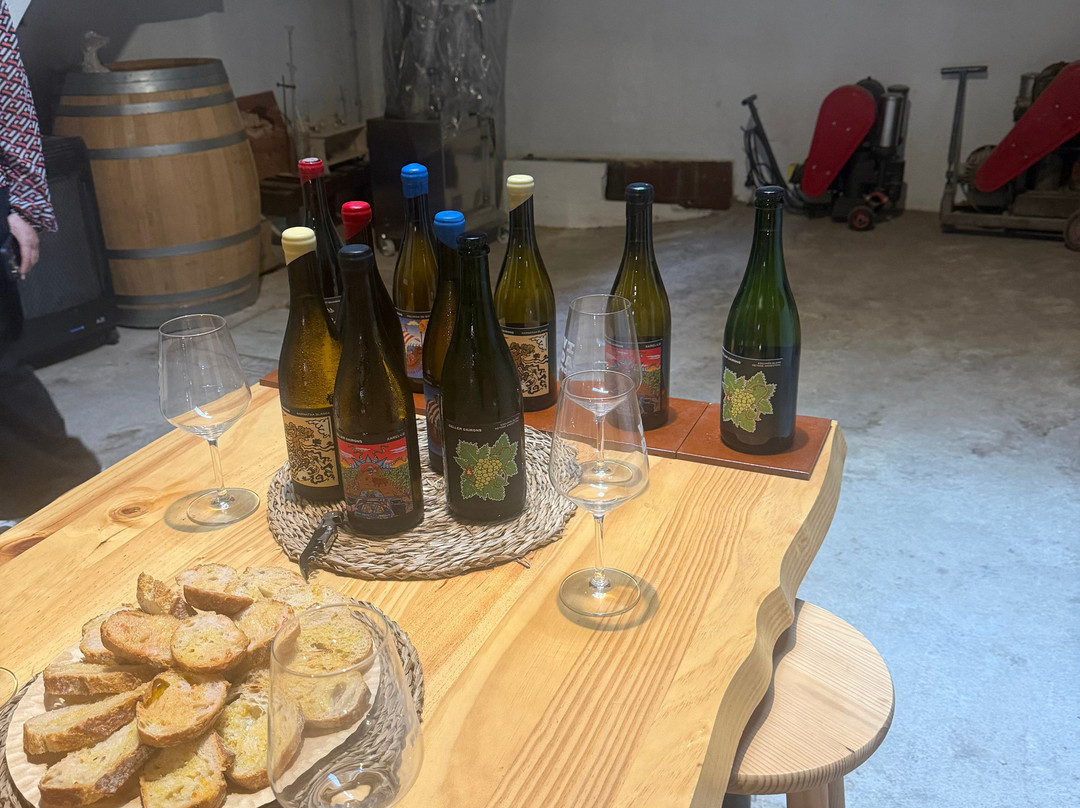 Celler Cairons