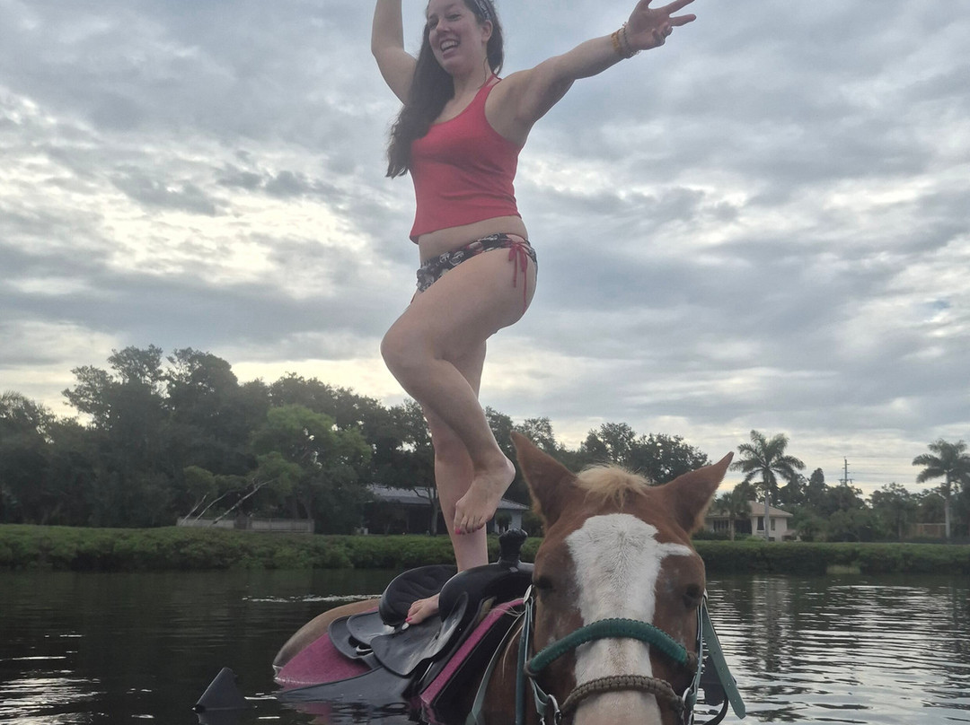 Florida Beach Horses-布雷登顿必去景点