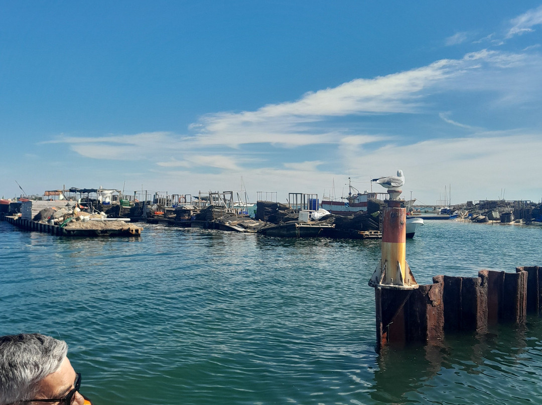Rota das Ilhas - Boat Tours-奥良必去景点