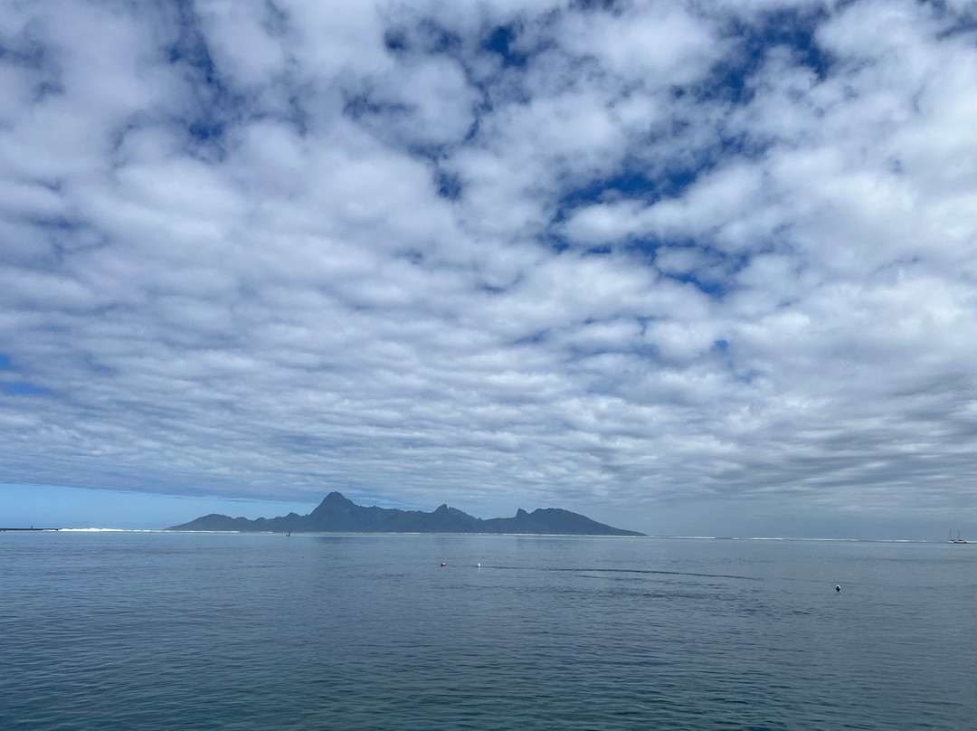 Dive and Sea Tahiti - Base nautique de Puna'auia-普纳奥亚必去景点