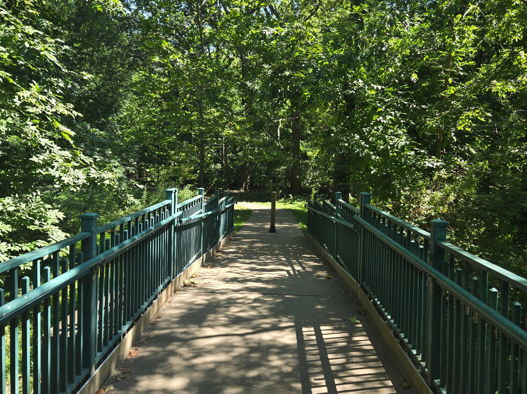 Scout Field County Park