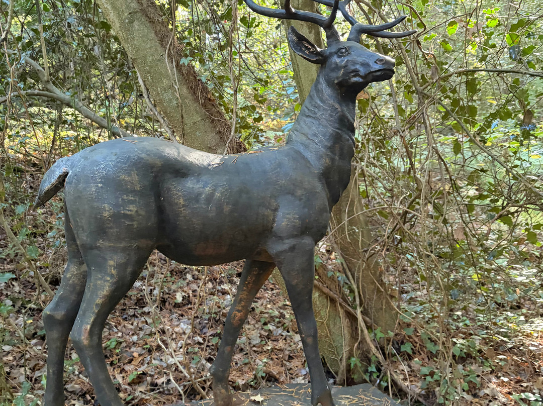 The Sculpture Park-Churt必去景点
