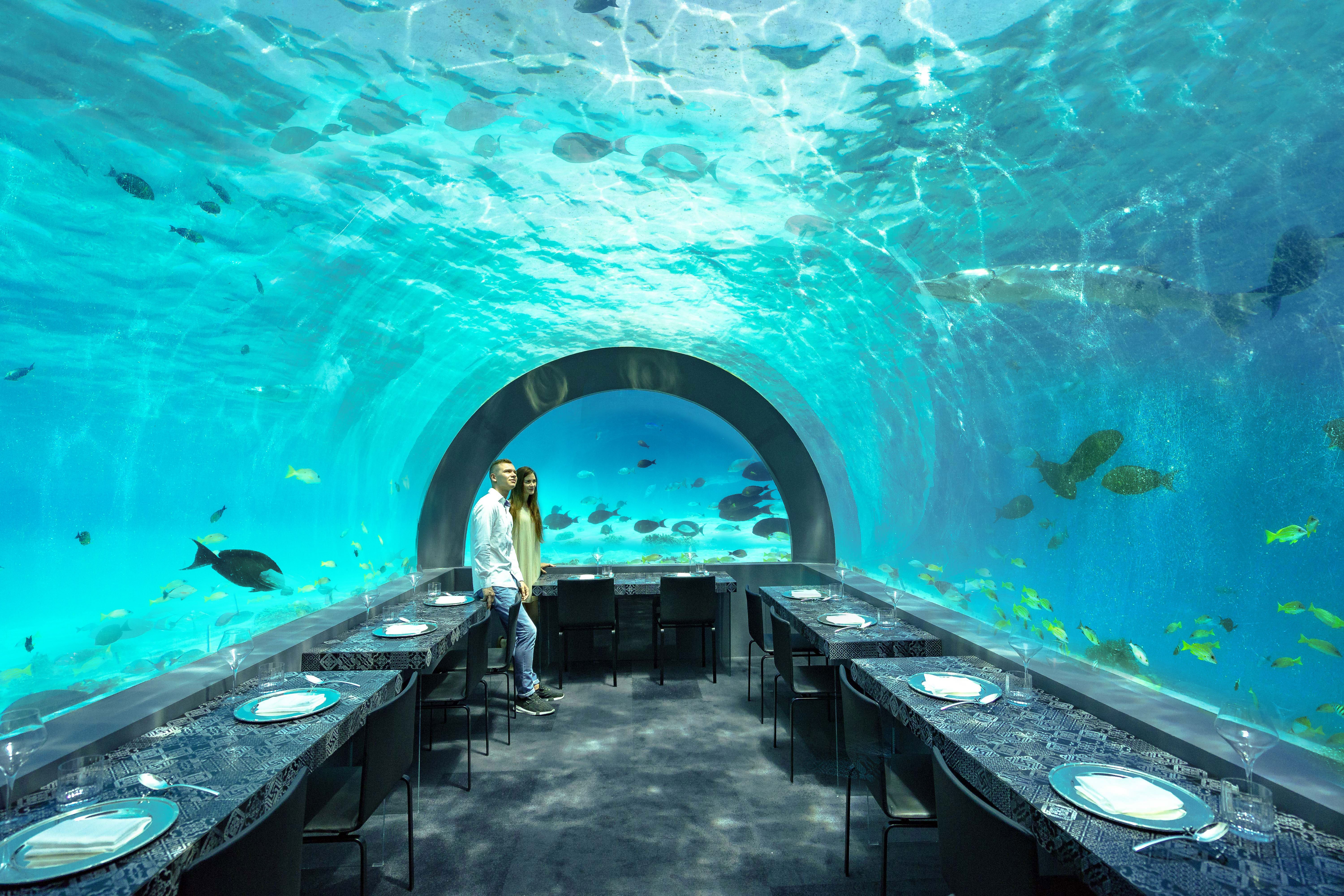 You & Me Maldives-官方