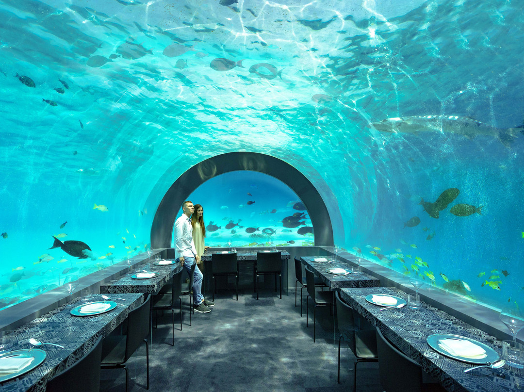 Filaidhoo餐馆和美食-H2O Underwater Restaurant by Chef Andrea Berton