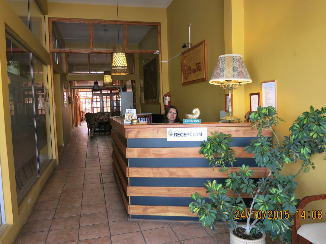 Bahia Inglesa酒店住宿-Hotel Costa Fosil