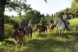 Agriturismo Il Masso-浴室
