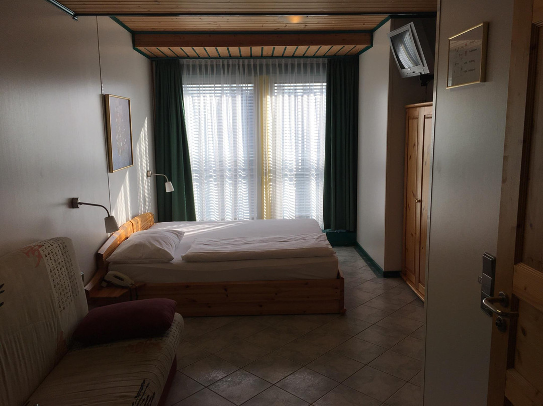 Gross-Enzersdorf酒店住宿-Hotel Asperner Lowe