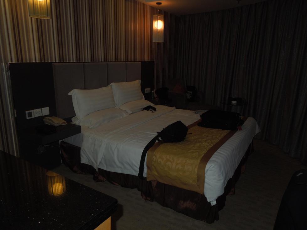 卓悦假日酒店-客卧