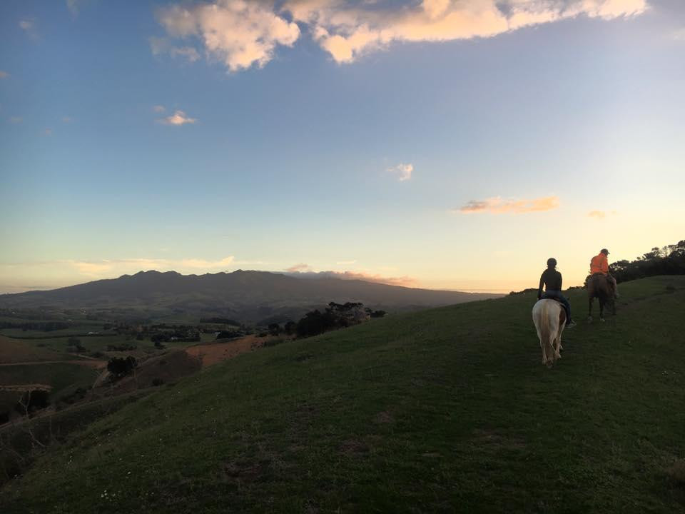 Karamu Trail Track-汉密尔顿必去景点