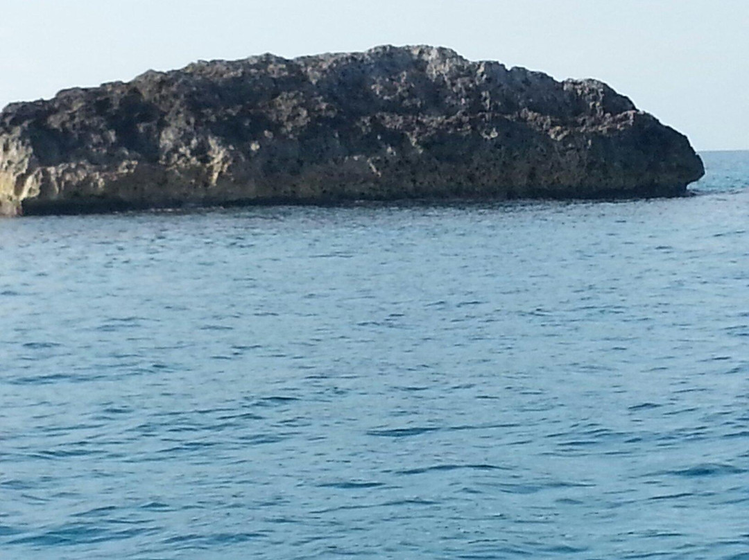 Bimini旅游景点-Tuna Alley