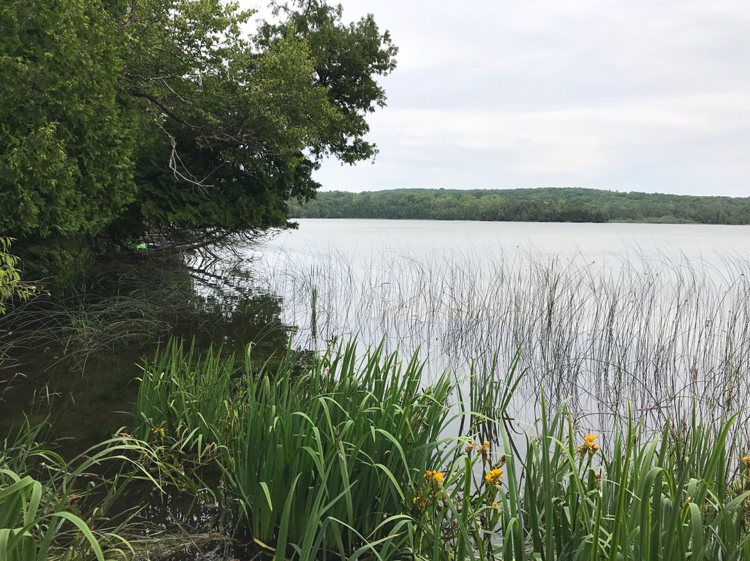 Little Lake Nature Preserve景点图片