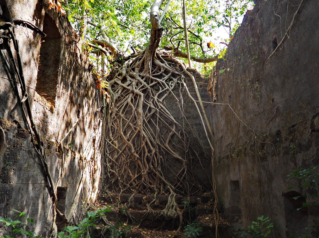 Yashwantgad Fort (Redi Fort)景点图片