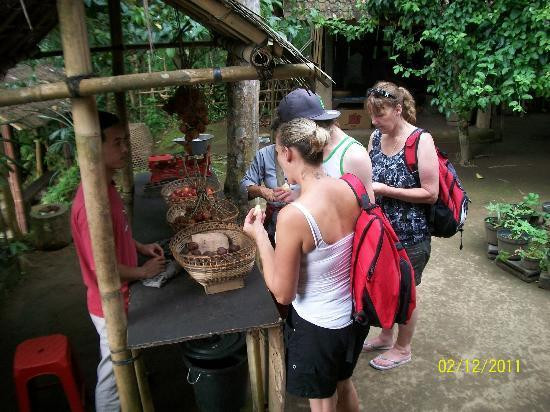 Bali Taxi Tours-曼吉斯必去景点