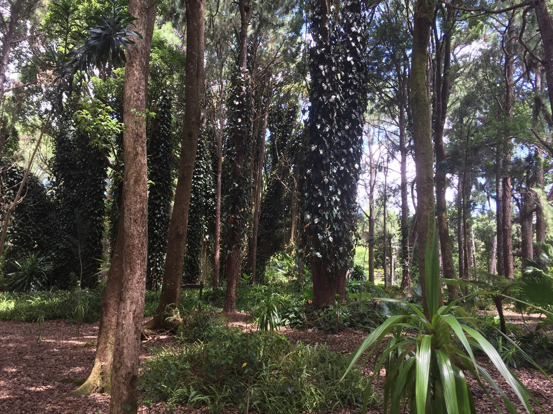 Sophie Nature Walk