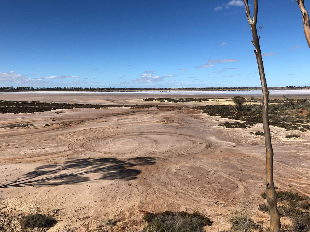 Lake Grace Lookout景点图片