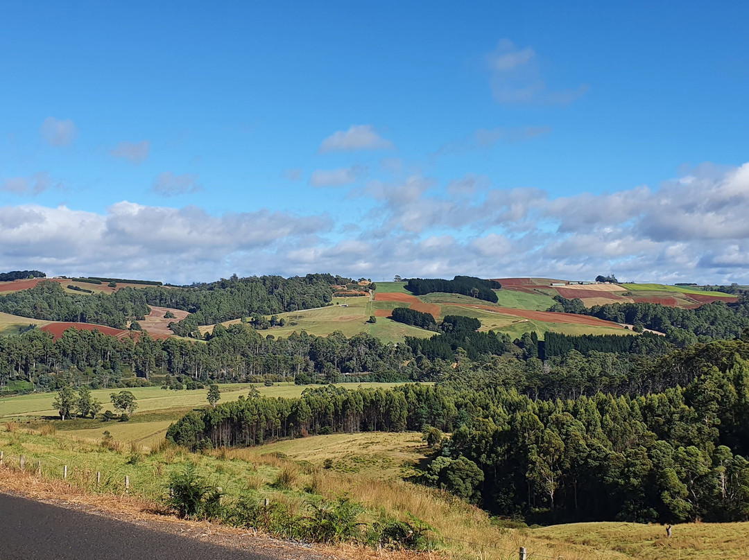 Wilmot Lookout-Wilmot必去景点