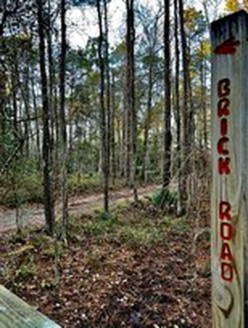 Tillie K. Fowler Regional Park-杰克逊维尔必去景点