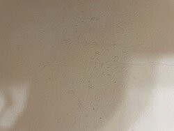 庞通海滩速8酒店主图