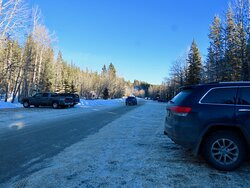 Elbow Falls Provincial Recreation Area景点图片