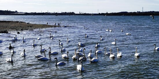 The Walls, Mistley Towers景点图片