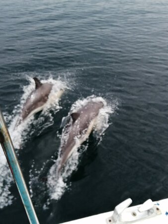 Wild Skye Boat Trips景点图片