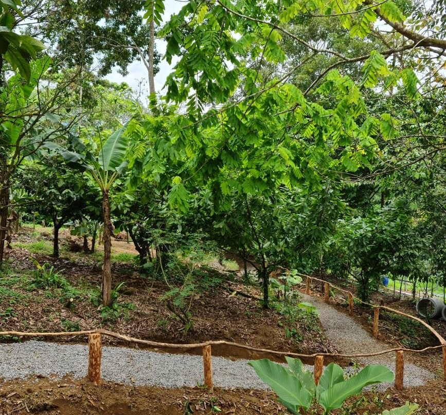Finca Paraiso Organico景点图片
