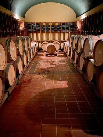 Caparzo Winery-蒙塔尔奇诺必去景点