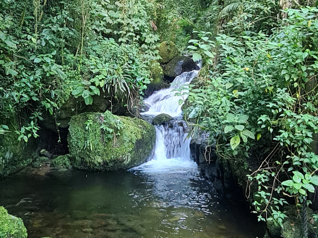 Cachoeira das Andorinhas-Sao Francisco Xavier必去景点